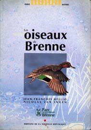 Les oiseaux de Brenne